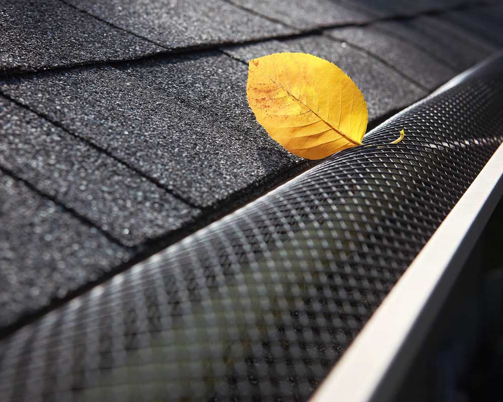 Plastic-guard-over-gutter