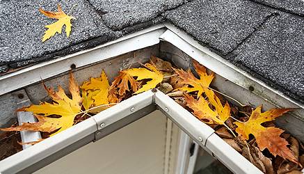 Gutter full of leaves image for gutter cleaning service
