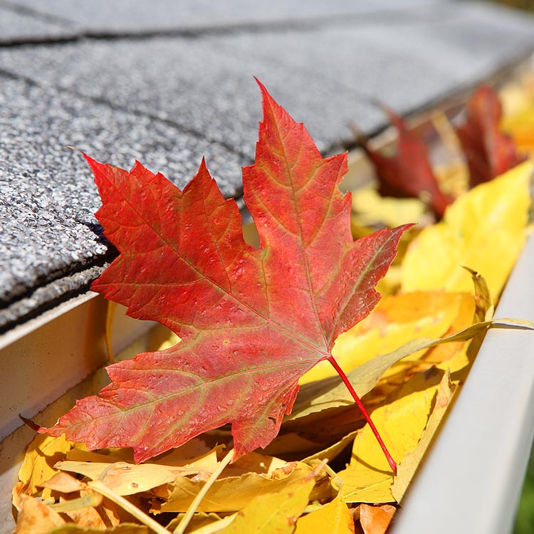 Kennebunk Gutter Installation FAQs